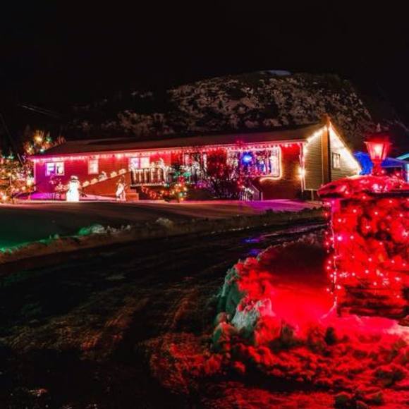 Meet your Posher, Shirley - Picture 1 of 1